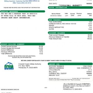 Florida utility bill template