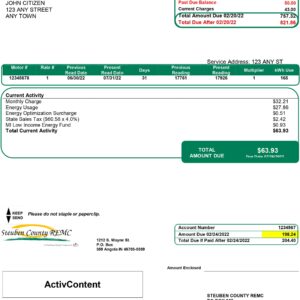 Editable Steuben County REMC Indiana energy bill template – utility sample file