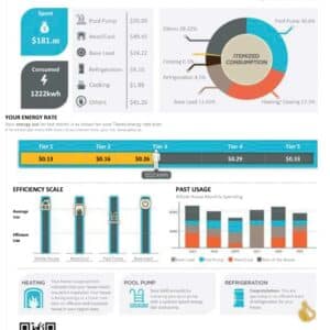 texas utility bill template