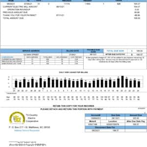 South Carolina utility bill template