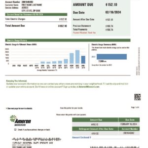 Missouri utility bill template