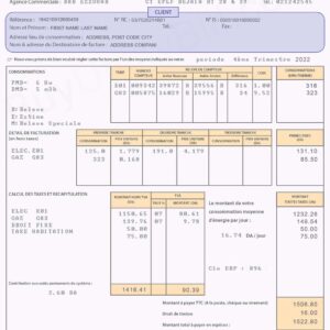 Algeria fake utility bill template