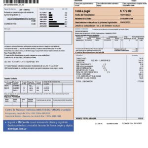 Argentina Fake utility bill