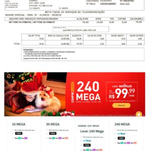 Brazil utility bill template