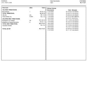 Brazil utility bill template