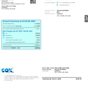 Cox Communications bill sample PDF – editable combo service statement.
