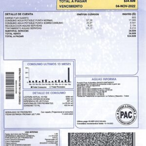 Chile fake utility bill for proof of address