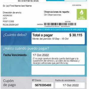 Chile fake utility bill for proof of address