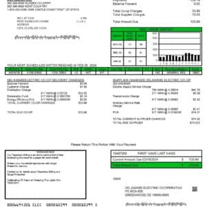 Delaware utility bill