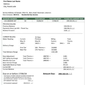 utilitybillproof.com