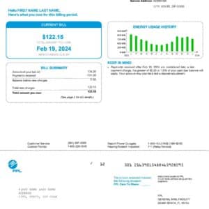 FPL Florida electric bill PDF – editable utility statement template for verification.