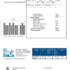 Florida utility bill