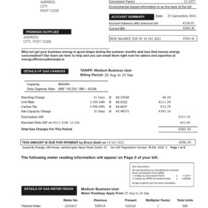Ireland utility bill template