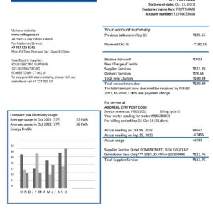 Kazakhstan utility bill template