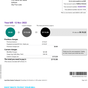 New Zeland Make utility bill template
