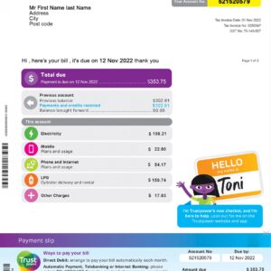 New Zeland fake utility bill for proof of address