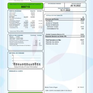 Peru utility bill template