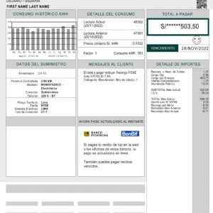 Peru utility bill template