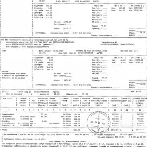 Russia fake utility bill for proof of address