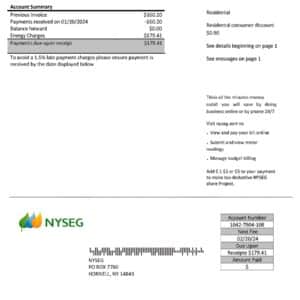 New York State Electric and Gas