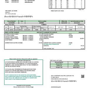 USA New Hampshire Electric Co-op
