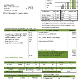 Kansas Victory Electric