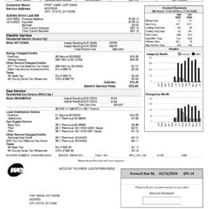 Wisconsin utility bill template